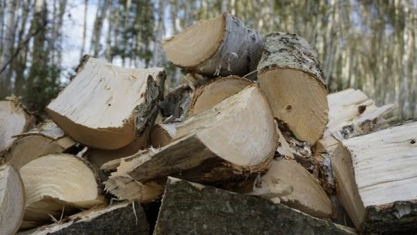 wodepacker rębak do drewna tnąco rozłupujący agrol maszyny rolnicze